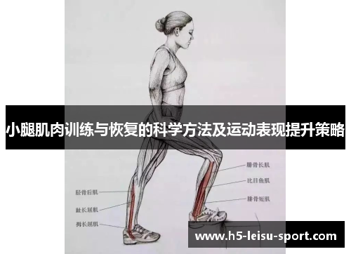 小腿肌肉训练与恢复的科学方法及运动表现提升策略