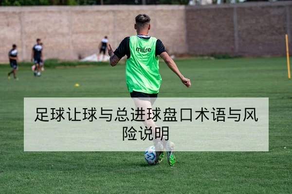足球让球与总进球盘口术语与风险说明